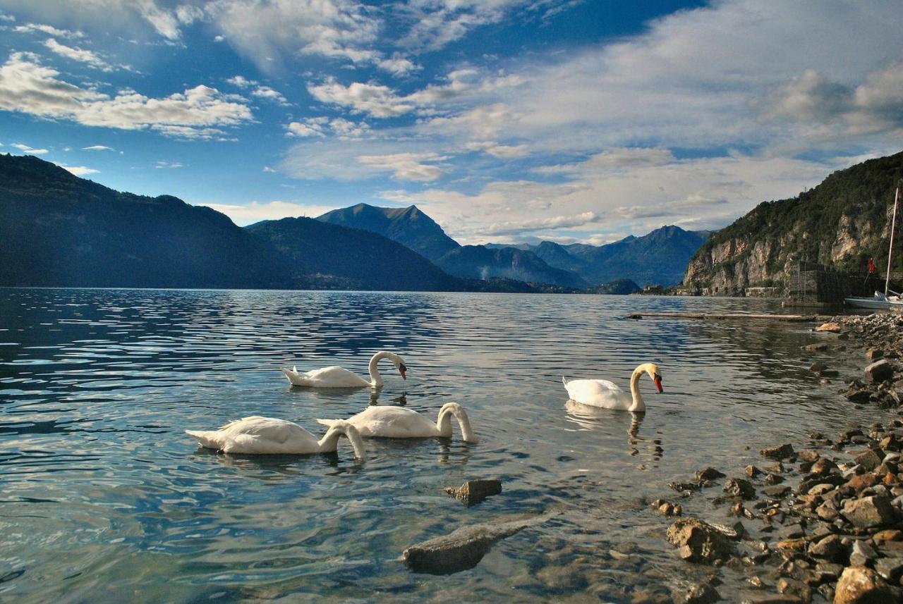 Lake View Apartments Acquaseria Buitenkant foto